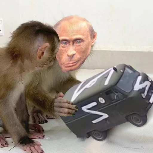 Стикер (Z)alupa - 3