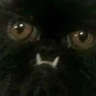 Стикер pezda - 2