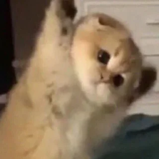 Стикер pezda - 10