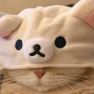 Стикер pezda - 0