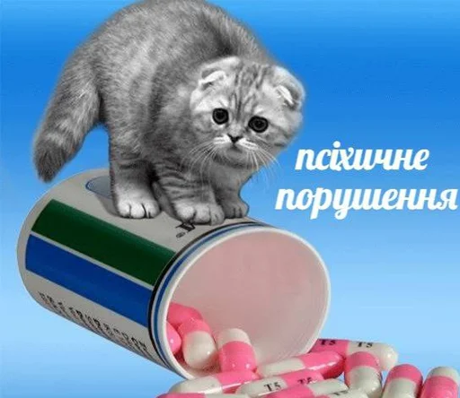 кошка кошачьи кошки малого и среднего размера