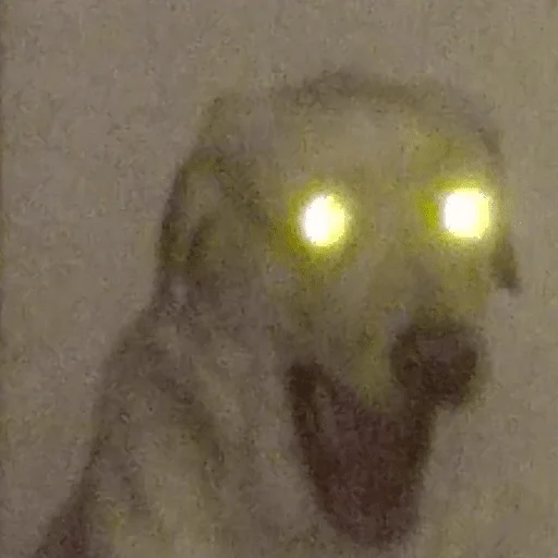 Стикер zalupapivna - 8