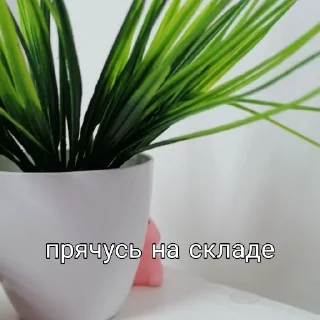 Стикер Залупкин - 7