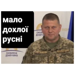 Sticker We believe in Zaluzhniy supremacy - 2