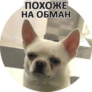 Sticker Sorry @stickersb2b - 9