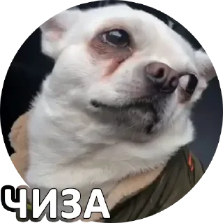 Sticker Sorry @stickersb2b - 8