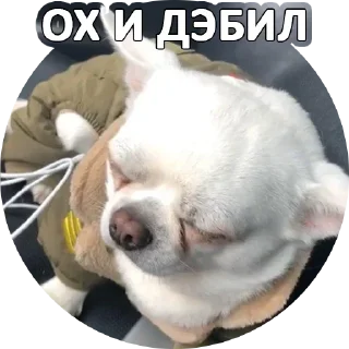 Sticker Sorry @stickersb2b - 10