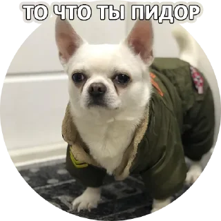 Sticker Sorry @stickersb2b - 11