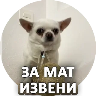 Sticker Sorry @stickersb2b - 5