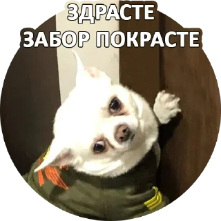 Sticker Sorry @stickersb2b - 3