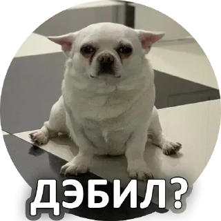 Sticker Sorry @stickersb2b - 2