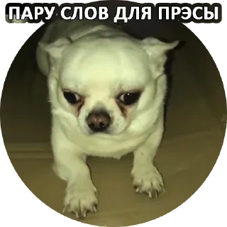 Sticker Sorry @stickersb2b - 1