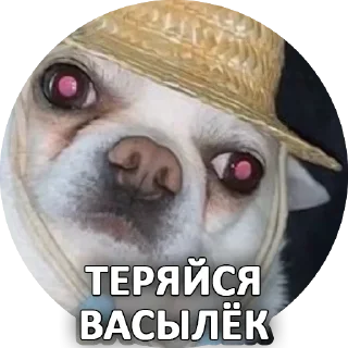 Sticker Sorry @stickersb2b - 7