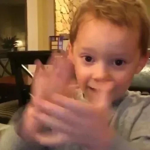 Человек человеческое лицо комнатный