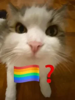 Sticker zanypack - 4