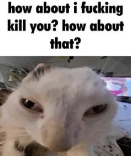 Sticker zanypack - 9