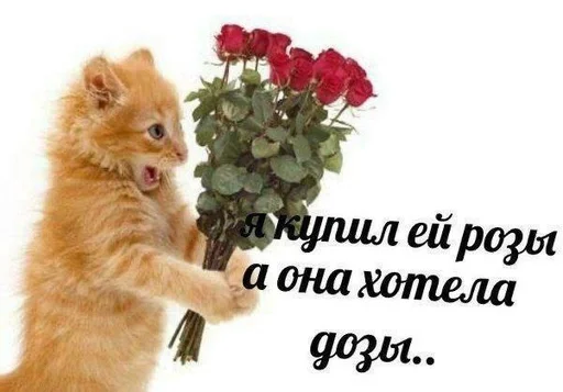 Стикер героин :: @fStikBot - 10