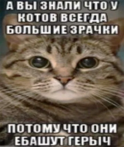 Стикер героин :: @fStikBot - 7