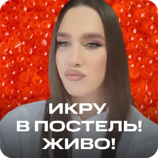 Sticker Заселись и веселись - 7