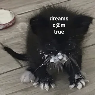 Sticker заткнись - 7