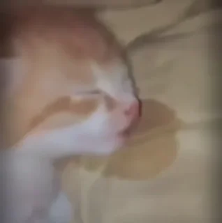 Sticker заткнись - 3