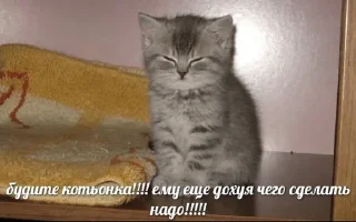 Sticker заткнись - 10