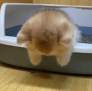 Sticker заткнись - 8