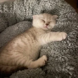 Стикер Завертин - 10