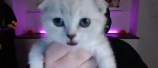 Стикер Завертин - 7