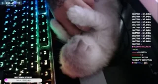 Стикер Завертин - 6