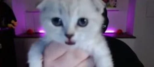 Sticker zavertin - 1