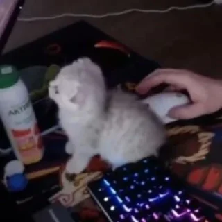 Стикер Завертин - 8