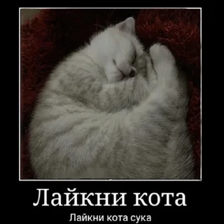 Стикер Завертин - 2