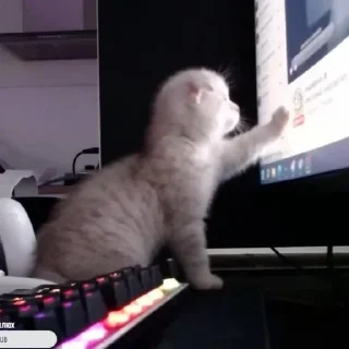 Стикер Завертин - 1