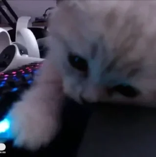 Стикер Завертин - 4