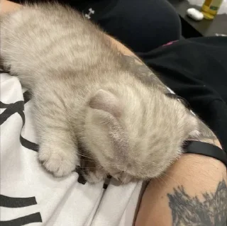 Стикер Завертин - 3