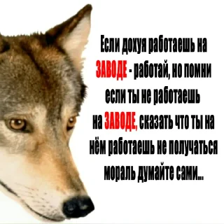 Стикер ЗАВОДская постирония - 3