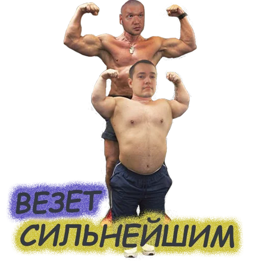 sport muscle physical fitness