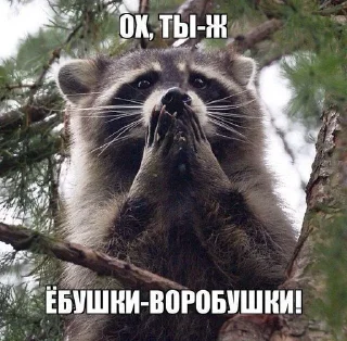 Стикер Зажравшиеся - 2