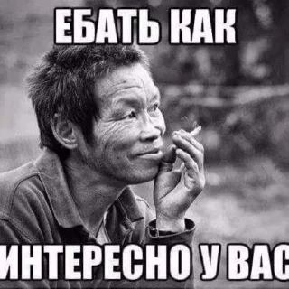 Стикер Зажравшиеся - 8