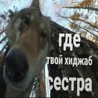 Sticker свалка - 8