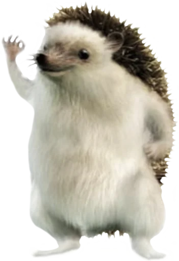 Стикер zdesita - 1