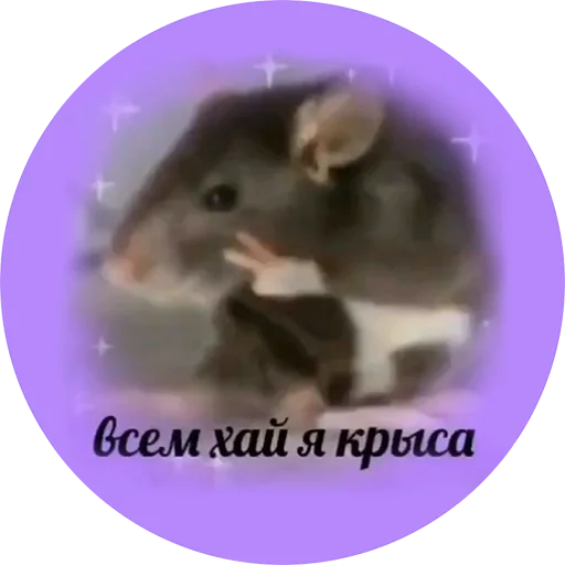 Стикер zdesita - 1