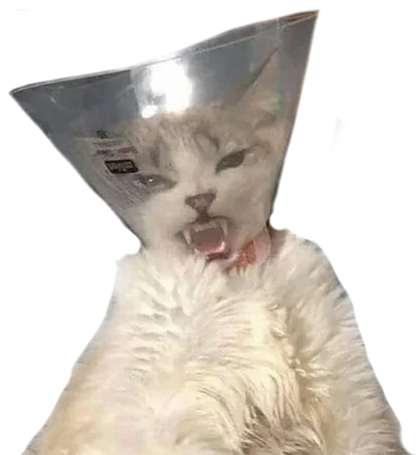 Стикер zdesita - 1