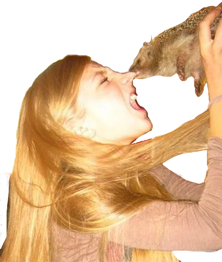 Стикер zdesita - 1