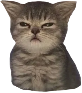 Sticker zdesita`s emergency kit - 5