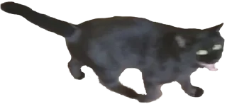 Sticker zdesita`s emergency kit - 7