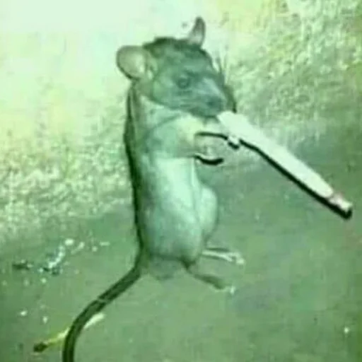 Sticker zabawne gry dla dzieci - 9