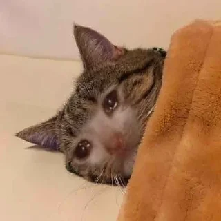 Sticker что-то - 8