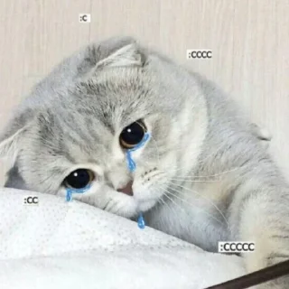 Sticker что-то - 2